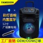 广东广州彩灯拉杆音响12寸户外拉杆音箱户外电瓶音响FAMSOON音响价格